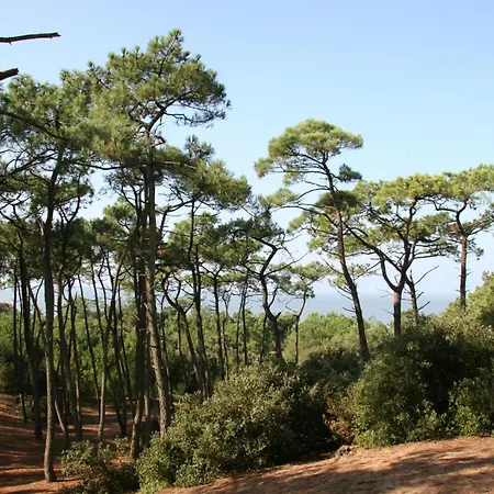 280m De La Plage, Pour 4 Διαμέρισμα Saint-Michel-Chef-Chef