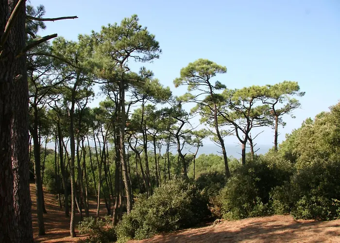 280m De La Plage, Pour 4 Διαμέρισμα Saint-Michel-Chef-Chef